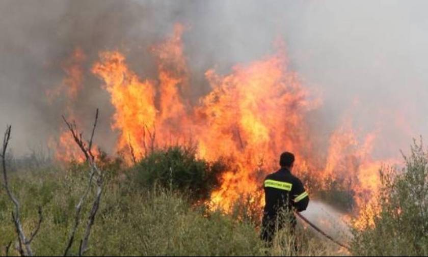 Φωτιά Εύβοια: Υπό μερικό έλεγχο η φωτιά στην Κύμη, σε ύφεση το μέτωπο στην Κάρυστο
