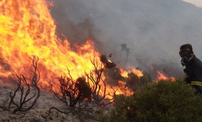 ΤΩΡΑ: Φωτιά στην Αιτωλοακαρνανία