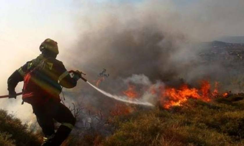 Αχαϊα: Φωτιά στην Άνω Ποταμιά Ακράτας
