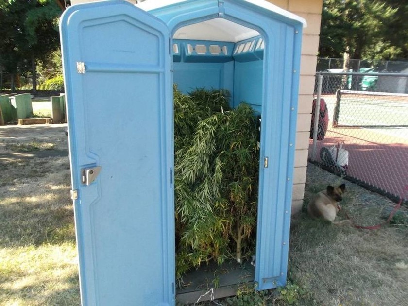 Απίστευτο: Τι έκρυβε η υπαίθρια τουαλέτα σε πάρκο του Όρεγκον; (pics)