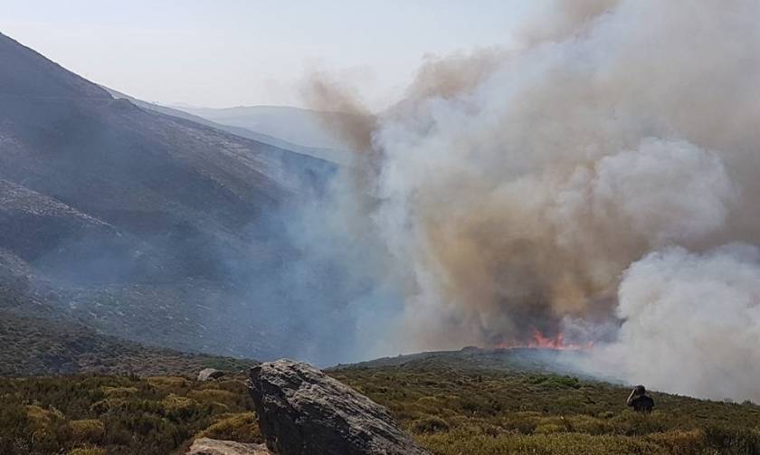 Ανεξέλεγκτη η φωτιά στην Κάρυστο - Κάηκαν σπίτια, εκκενώθηκε οικισμός