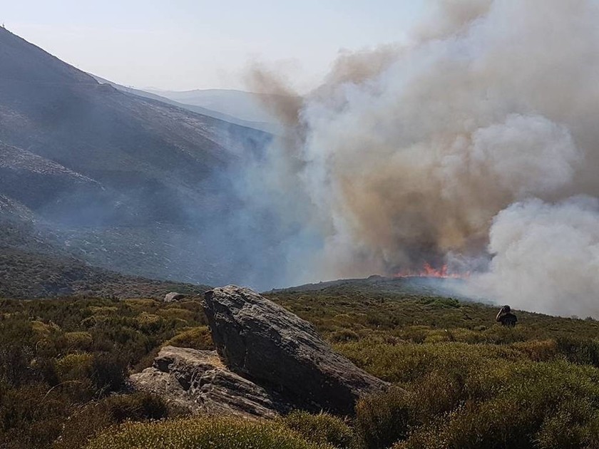 Ανεξέλεγκτη η φωτιά στην Κάρυστο - Κάηκαν σπίτια, εκκενώθηκε οικισμός