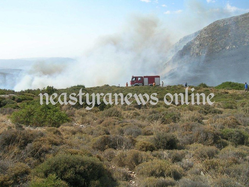 Μάχη με τις φλόγες στην Εύβοια: Κάηκαν σπίτια - Εκκενώθηκε οικισμός (pics&vid)
