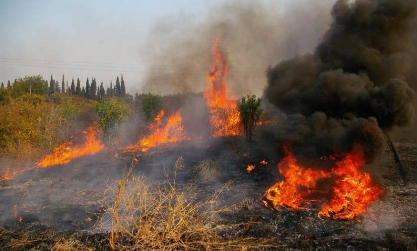 Ηράκλειο: Σβήστηκε η πυρκαγιά στην Αγία Βαρβάρα