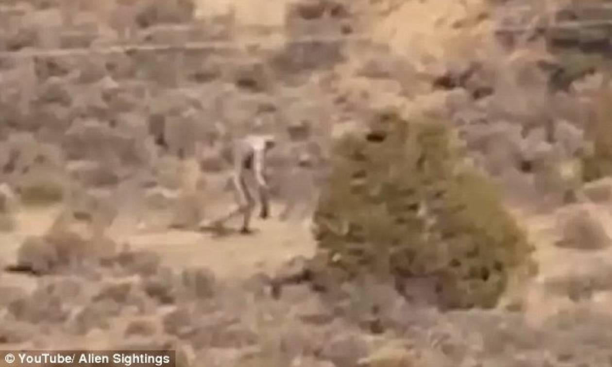 Ανατριχιαστικό! Γιγάντιο τερατόμορφο πλάσμα προκαλεί τρόμο σε έρημο της Πορτογαλίας (video)