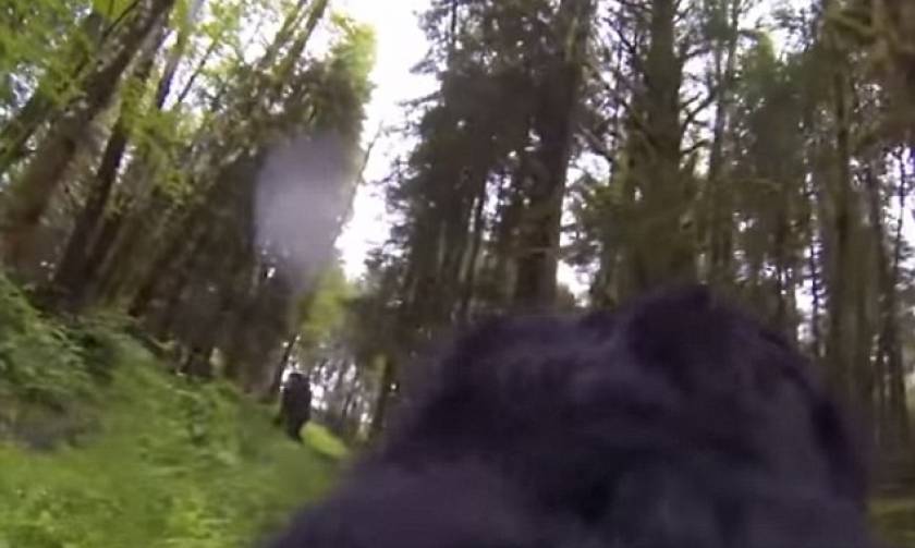 Τι συνέβη όταν ένας σκύλος συνάντησε τον Μεγαλοπόδαρο! (video)
