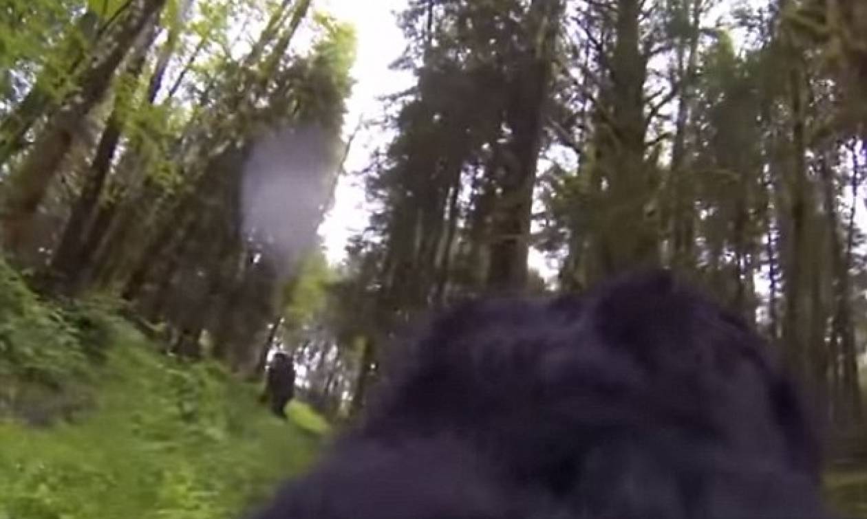 Τι συνέβη όταν ένας σκύλος συνάντησε τον Μεγαλοπόδαρο! (video)