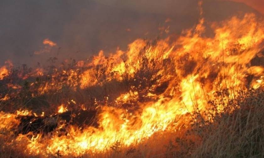Πυρκαγιά στην Εύβοια - Βρέθηκε απανθρακωμένο πτώμα