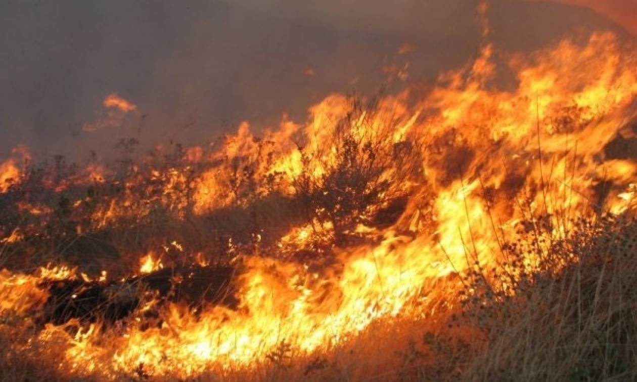 Πυρκαγιά στην Εύβοια - Βρέθηκε απανθρακωμένο πτώμα