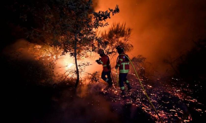 Πορτογαλία: Ανυπολόγιστη οικολογική καταστροφή από τις πυρκαγιές