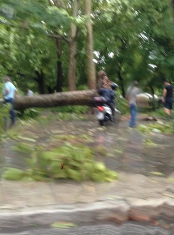 Σκηνές «Αποκάλυψης» στα Τρίκαλα: Ξεριζώθηκαν δέντρα - Βούλιαξαν σπίτια 