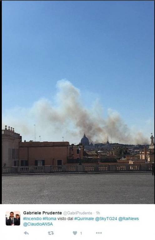 Σε πύρινο κλοιό η Ρώμη: Ξέσπασαν 14 πυρκαγιές σε ένα μόλις 24ωρο – Απειλήθηκε και το Βατικανό (Pics)