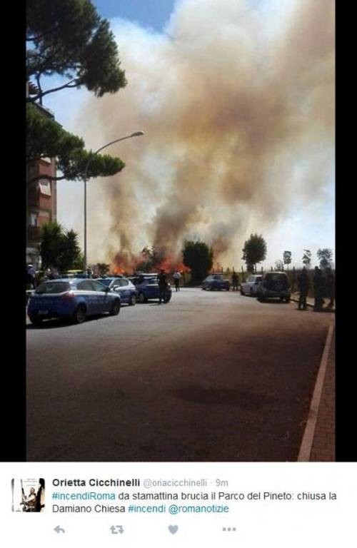 Σε πύρινο κλοιό η Ρώμη: Ξέσπασαν 14 πυρκαγιές σε ένα μόλις 24ωρο – Απειλήθηκε και το Βατικανό (Pics)