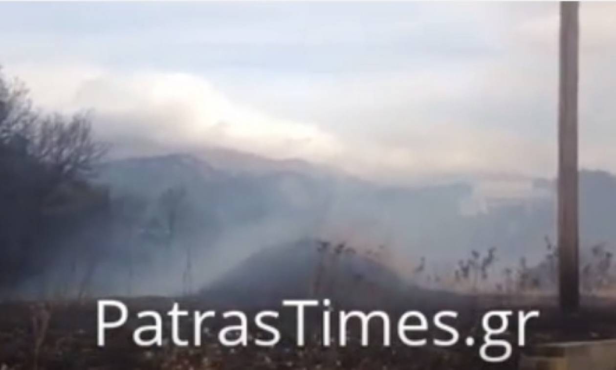 Μια ανάσα από κατοικημένη περιοχή μεγάλη φωτιά στην Πάτρα (vids)