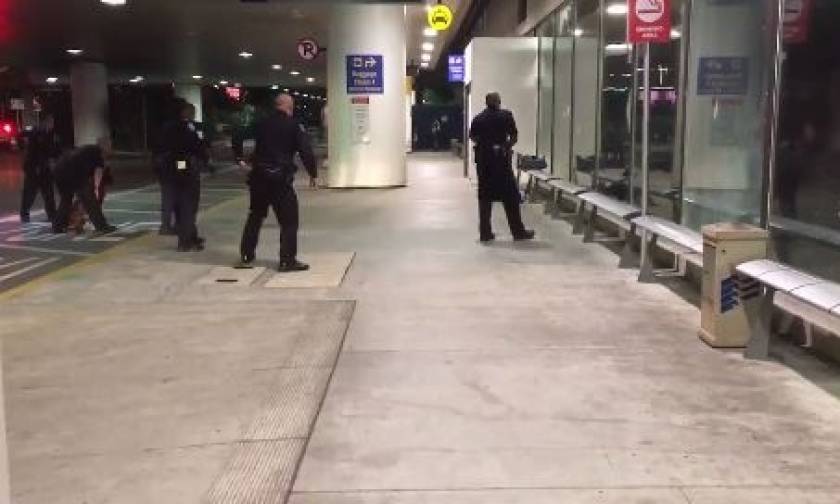 Ένας Ζορό «έσπειρε τον πανικό» στο αεροδρόμιο του Λος Άντζελες (βίντεο)