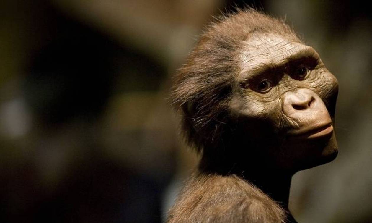 Έτσι σκοτώθηκε η Λούσι, η διασημότερη αυστραλοπίθηκος του πλανήτη (Vids)