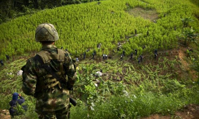 Εκατοντάδες κιλά κοκαΐνης κατασχέθηκαν στην Κολομβία