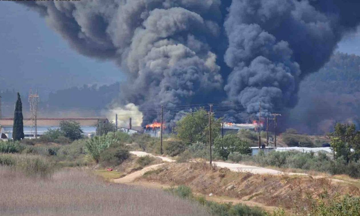 Πυρκαγιά σε εργοστάσιο μεταξύ Άργους - Ν. Κίου (pics&vid)
