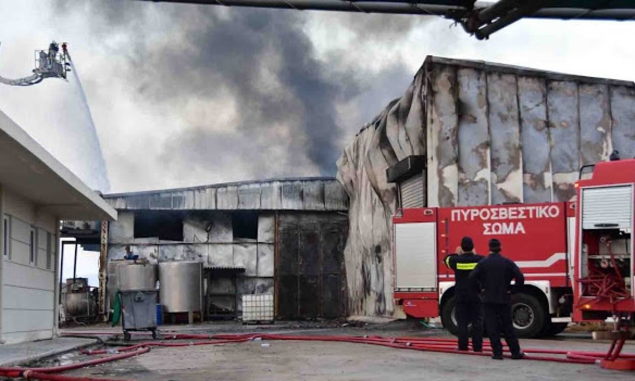Αργολίδα: Εικόνες αποκάλυψης από την μεγάλη πυρκάγια στο χυμοπειίο (pics)