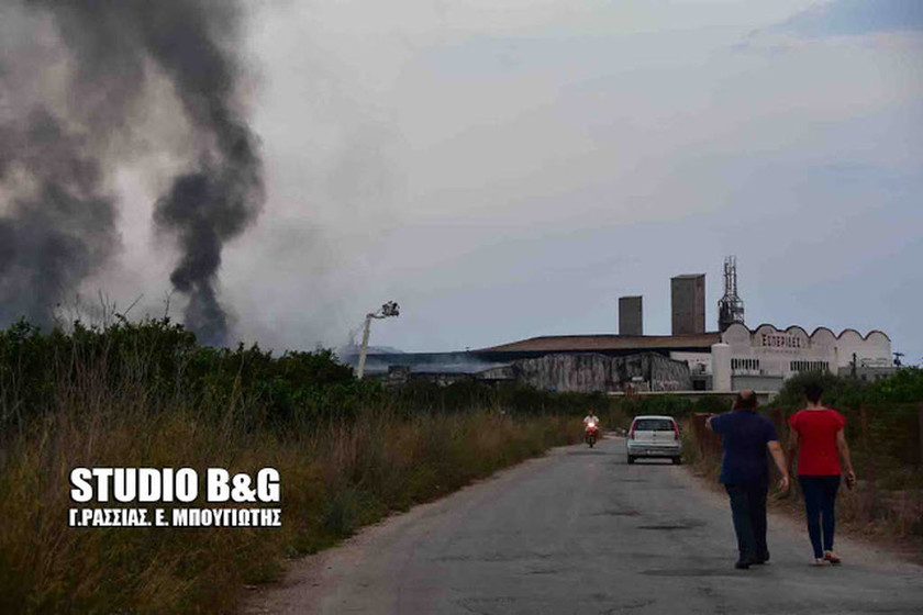 Αργολίδα: Εικόνες αποκάλυψης από την μεγάλη πυρκάγια στο χυμοπειίο (pics)