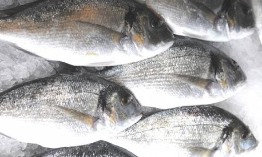Τα φρέσκα ψάρια το σημαντικότερο, σε αξία, ελληνικό εξαγώγιμο προϊόν