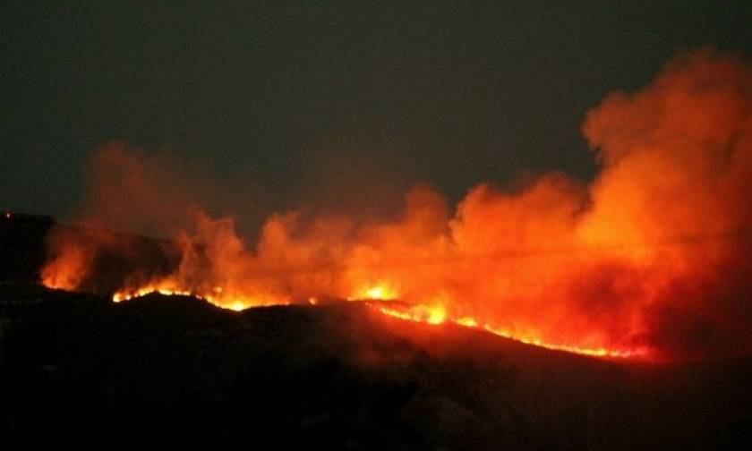 Ολονύχτια μάχη με τις φλόγες στην Ζάκυνθο: Καίγεται το πευκοδάσος της περιοχής του Κοιλιωμένου