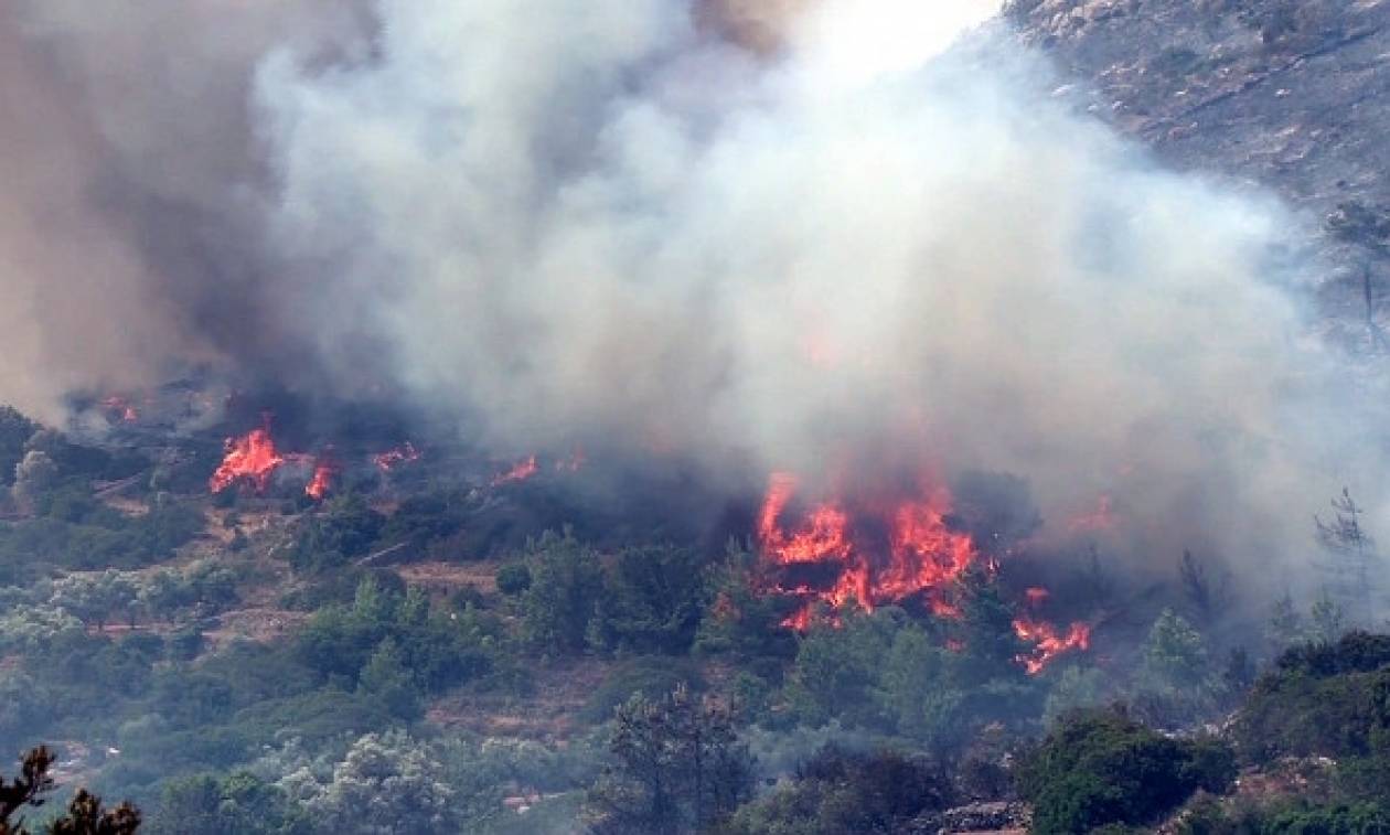 Κρήτη: Υπό μερικό έλεγχο η πυρκαγιά στο Ρέθυμνο