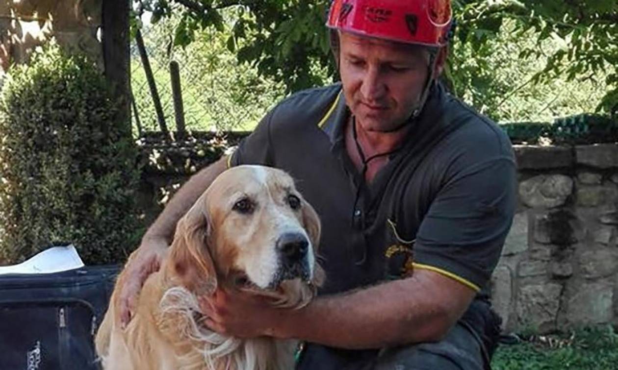 Ιταλία: Σκύλος εντοπίστηκε ζωντανός 9 μέρες μετά τον σεισμό! (vid)