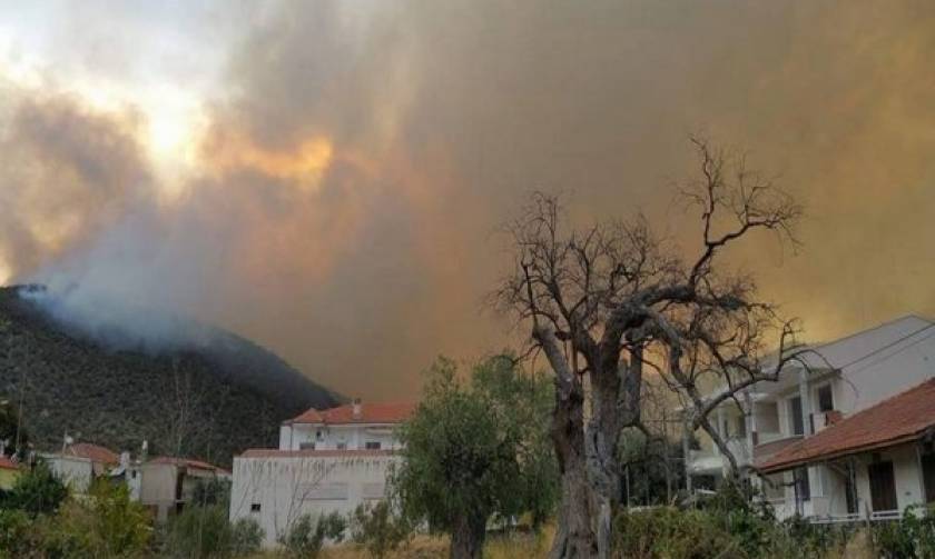 Πύρινος εφιάλτης:Σε κατάσταση έκτακτης ανάγκης η Θάσος - Κάηκαν σπίτια, απειλούνται χωριά (pics&vid)