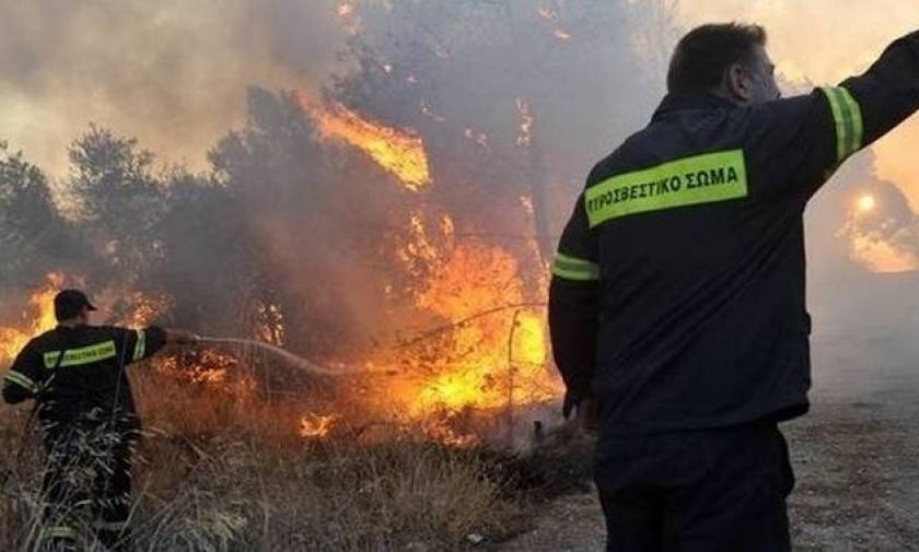 Καίγεται η Θάσος: Σε κατάσταση έκτακτης ανάγκης το νησί - Κάηκαν σπίτια, εκκενώθηκαν χωριά