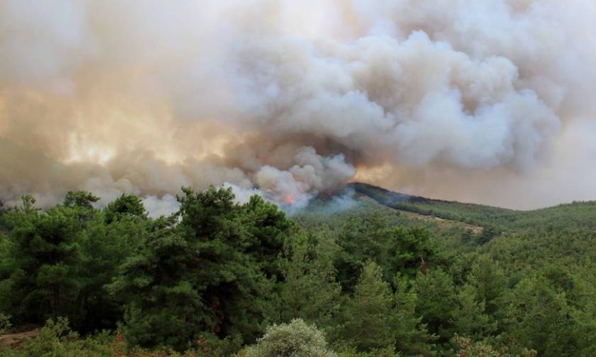 Σοκαριστικό βίντεο από τη φωτιά στη Θάσο: Πέρασαν μέσα από τις φλόγες