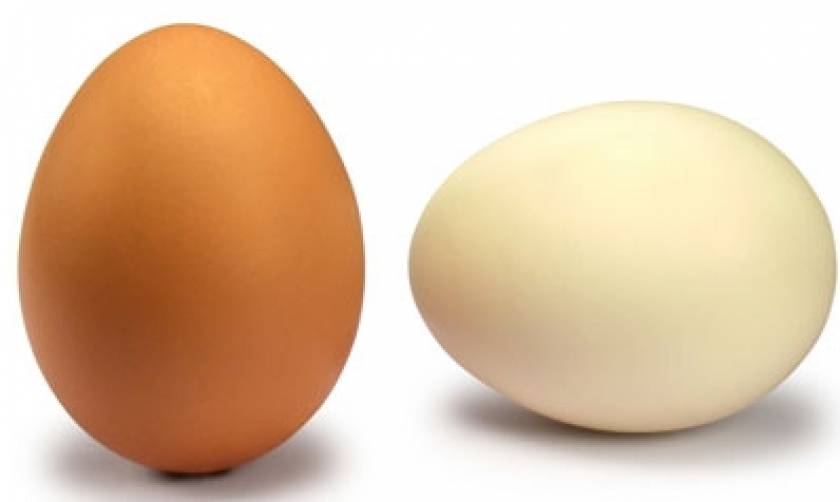 Τι καθορίζει το χρώμα των αυγών ;