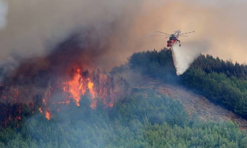«Συναγερμός» στην Πυροσβεστική - Πυρκαγιά σε Βοιωτία και Χίο