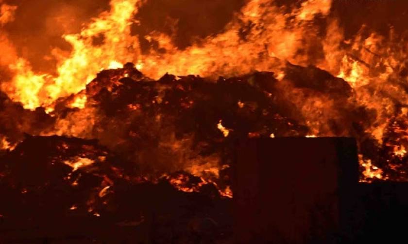Συναγερμός στην Αργολίδα για μεγάλη πυρκαγιά (pics&vid)