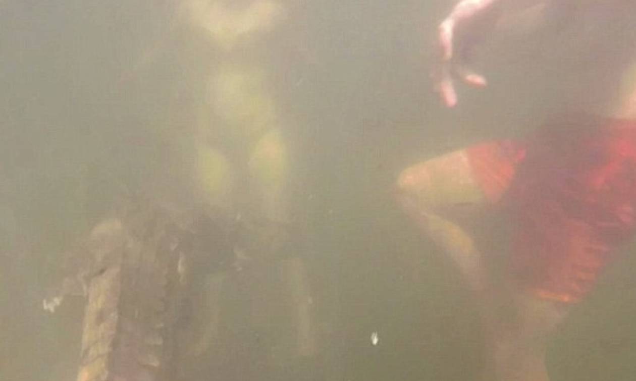 Βίντεο σοκ: Κροκόδειλος κολυμπά δίπλα σε παιδάκι λίγο πριν του επιτεθεί