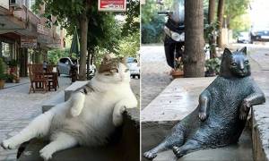 Viral: Η πιο διάσημη γάτα της Κωνσταντινούπολης τιμήθηκε με άγαλμα στο αγαπημένο της σημείο (Pics)