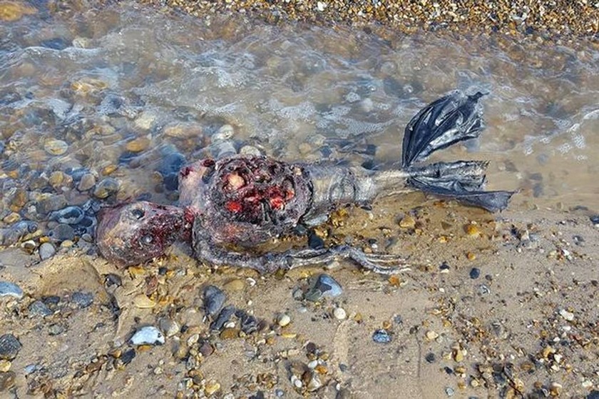 Μυστήριο με σώμα «νεκρής γοργόνας» που ξέβρασε η θάλασσα (ΠΡΟΣΟΧΗ! ΣΚΛΗΡΕΣ ΕΙΚΟΝΕΣ!)