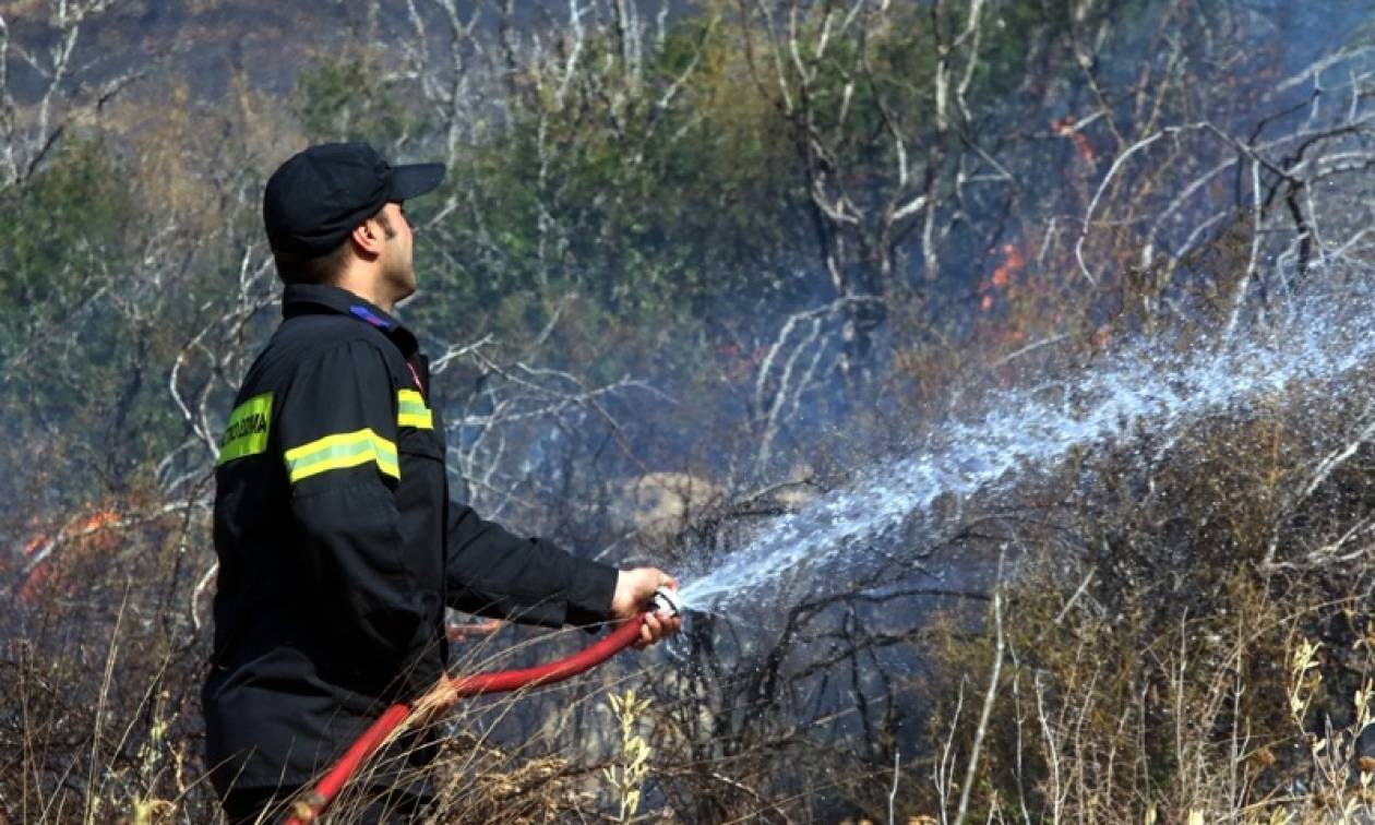 Μεγάλη φωτιά στο Πικέρμι - Οι φλόγες πλησιάζουν σπίτια