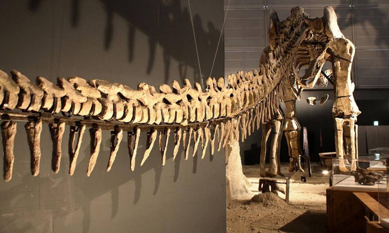 Είναι αυτός ο μεγαλύτερος δεινόσαυρος που περπάτησε στη Γη; (photo)