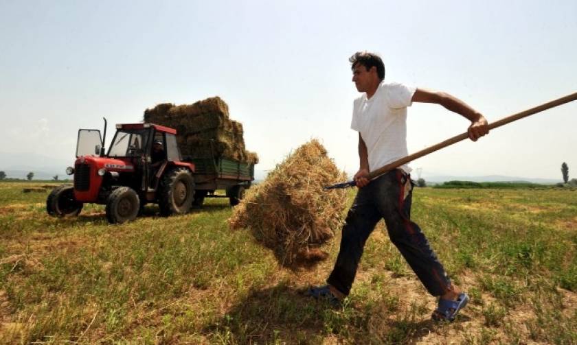 ΟΠΕΚΕΠΕ: Πότε θα πληρωθούν οι αγροτικές επιδοτήσεις