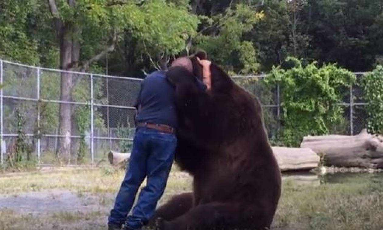 Αρκούδος «επιτέθηκε» στο φροντιστή του με... αγκαλιές και φιλιά! (vid)