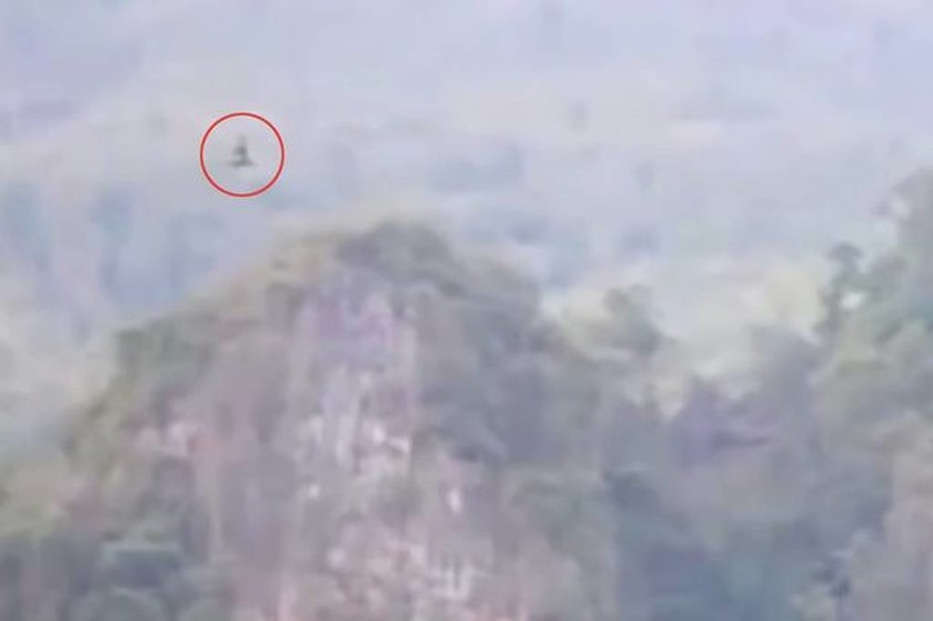 Παροξυσμός στο διαδίκτυο: «Συνέλαβαν» τεράστιο ιπτάμενο δράκο; (video+photos)
