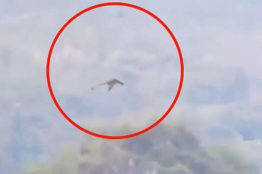 Παροξυσμός στο διαδίκτυο: «Συνέλαβαν» τεράστιο ιπτάμενο δράκο; (video+photos)