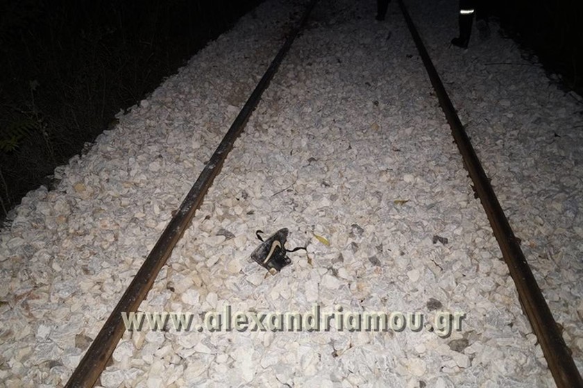 Τραγωδία στην Ημαθία: Τρένο παρέσυρε και σκότωσε νεαρή γυναίκα (pics)