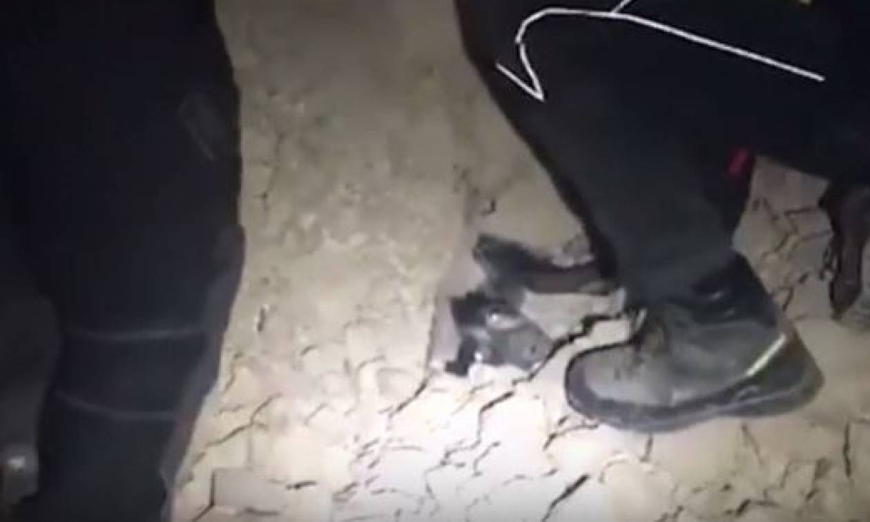 Ιταλία: Οι πυροσβέστες έβγαλαν ζωντανό έναν σκύλο από τα χαλάσματα (video)