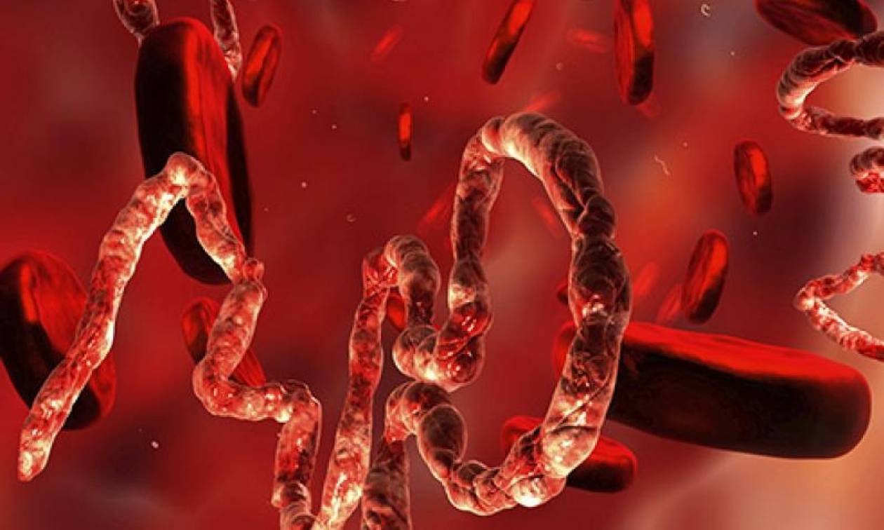Ο ιός Έμπολα μεταλλάχθηκε και είναι πλέον τέσσερις φορές πιο ικανός να σκοτώνει ανθρώπους