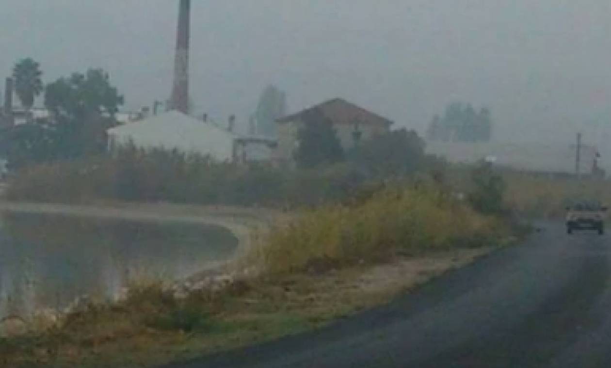 Ομίχλη κάλυψε τη Μυτιλήνη (pics)