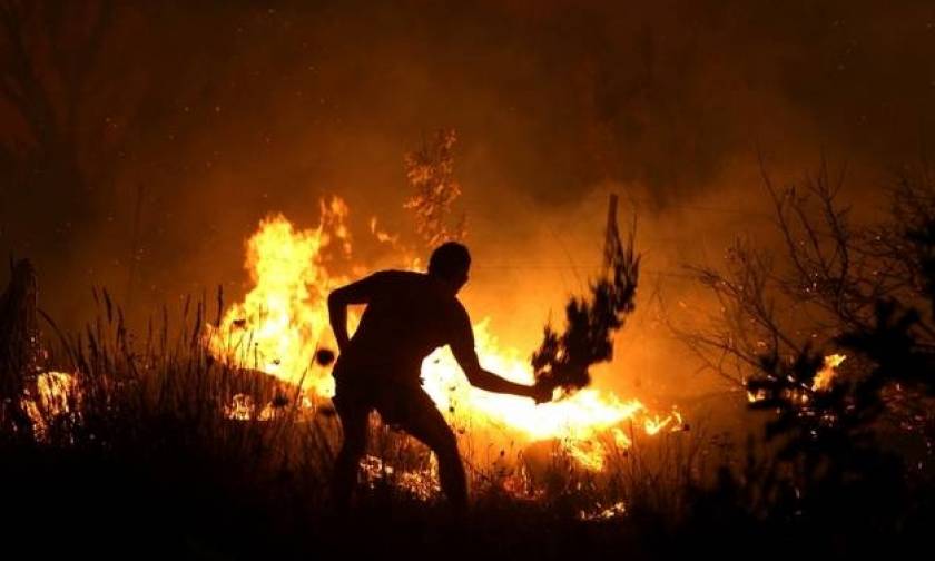 Θλιβερός απολογισμός 2016: Περισσότερες πυρκαγιές, υπερδιπλάσιες καμένες εκτάσεις
