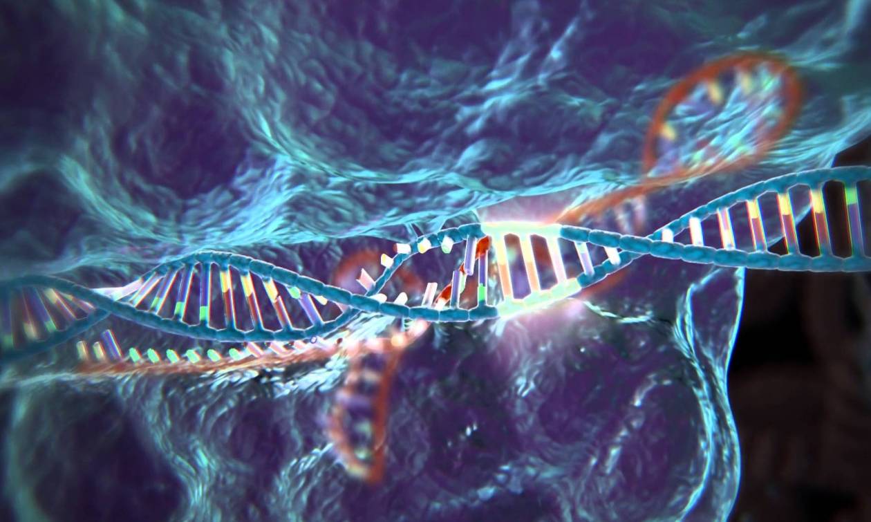 Συγκλονιστικό: Ανακάλυψαν το «Άγιο Δισκοπότηρο» της γενετικής - Είναι ελιξίριο της νεότητας;