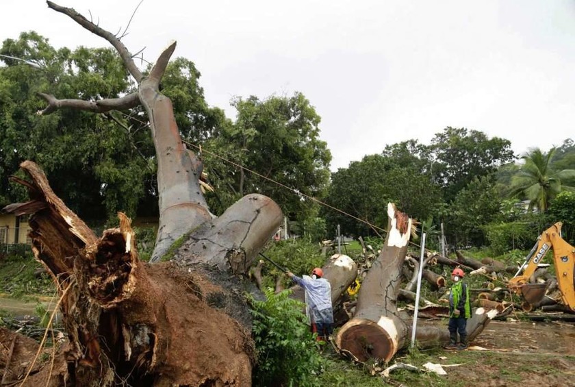 Παναμάς: Τρεις νεκροί από τη σφοδρή καταιγίδα Ότο (pics)